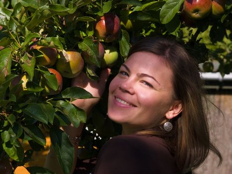 Young attractive woman standing near fresh healthy apples tree
