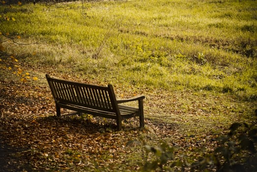 bench in park