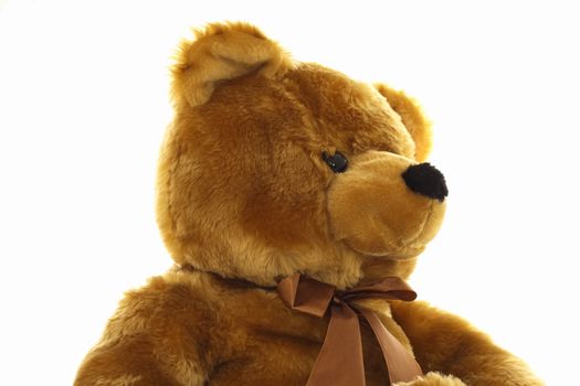 large brown teddy bear over a white background