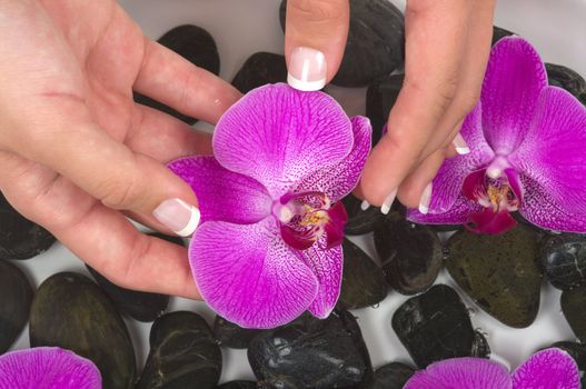 Manicured hands with therapeutic pebbles, herbal water and beautiful orchids