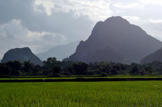the beautiful landscape of vang vieng,laos
Traditional Thai art/paintings in an ancient temple,thailand