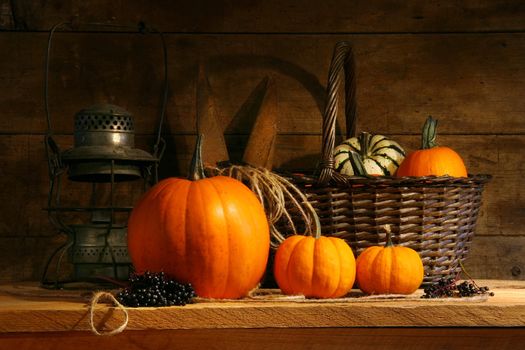 Basket on a shelf with gourds and pumpkins