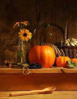 Fall still life with flowers and gourds