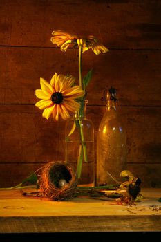 Yellow flower still life with antique bottle