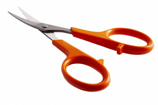 a pair of nail scissors