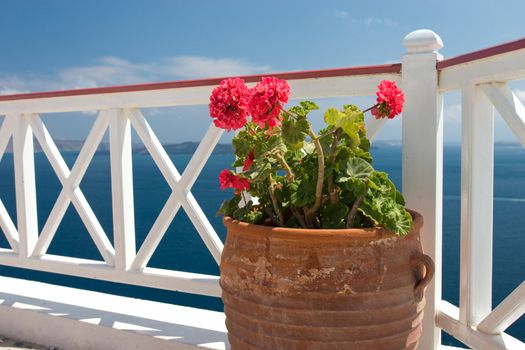 Vase with geraniums on the balcony in Greek island Santorini