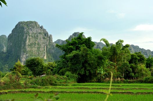 the beautiful landscape of vang vieng,laos