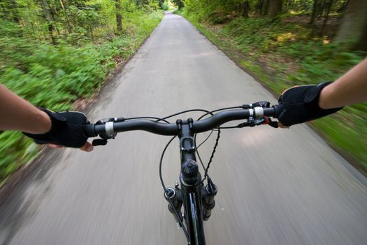 Point of view from biker eyes during riding in the forest