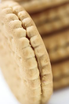 Stack of cookies close up shallow Dof