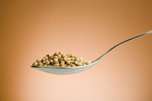 Metal spoon filled with coriander seed over brown background