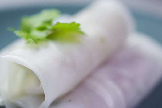 Uncooked asian spring rolls on the green plate