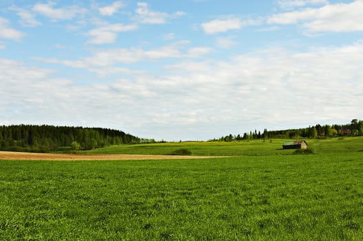 Summer landscape from country side of Finland