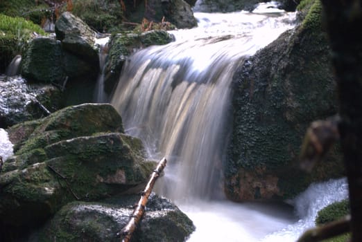 drain the water in the woodlands