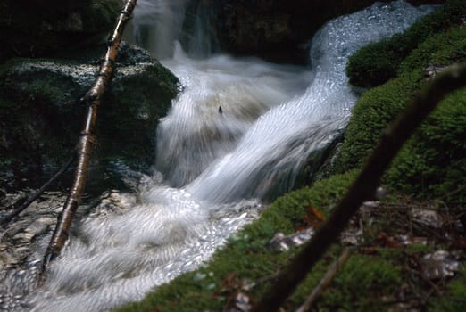 drain the water in the woodlands