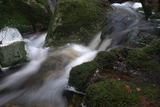 drain the water in the woodlands