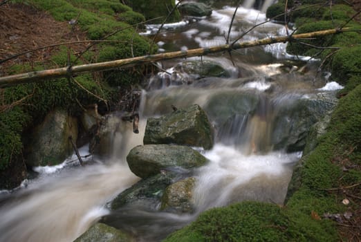 drain the water in the woodlands