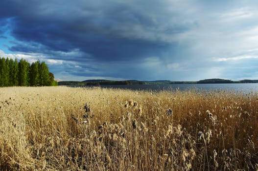 Landscape from lake before the storm