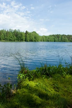 Summer at the remote forest lake