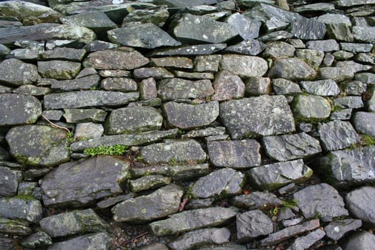 a part of the stone wall in Cumbria, England
