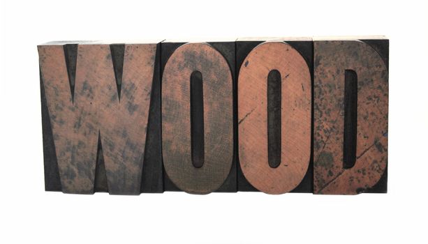 the word 'wood' in old wood type isolated on white