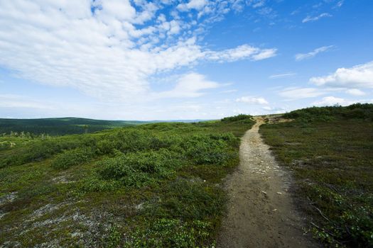 Natural reserve landscape from north of finland