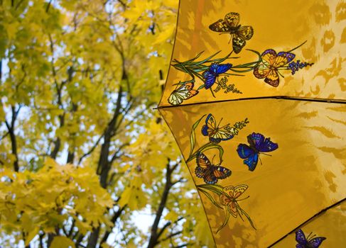 Autumn foliage and positive yellow colored umbrella with dancing butterflies