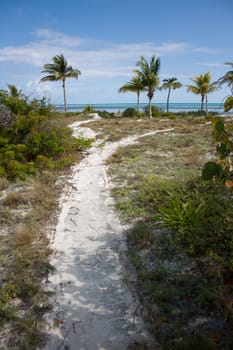 Way to tropical beach with green palms and blue cloudy sky. Cayo Coco, Cuba.