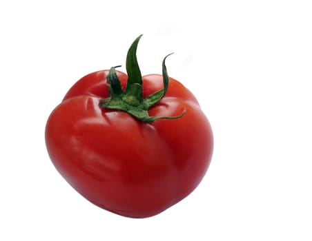 Isolated tomato close up