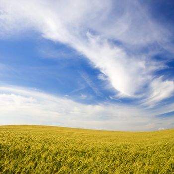 landscape with rural field and beautiful sky