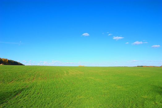 photo of the green field with stack