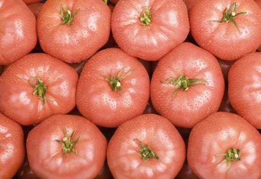 Wet organic tomatos filling the frame