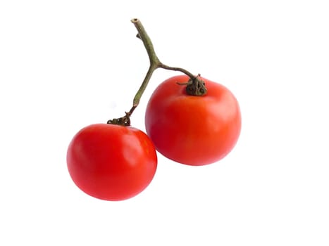 isolated tomatoes close up