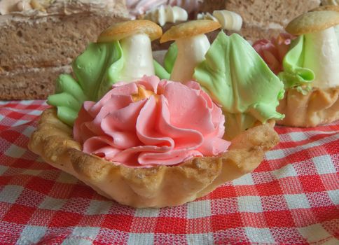 Biscuit cakes with an oil cream on white