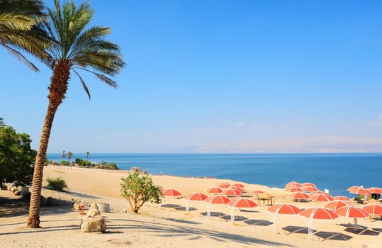 Umbrellas On Sandy Beach Of Dead Sea, Israel.