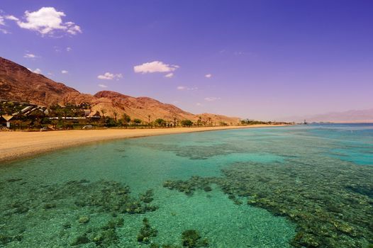 View To The Coastline Of Red Sea From Coral Reef