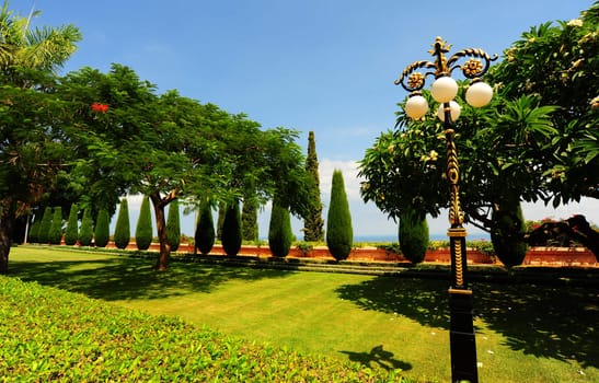 Beautiful Tranquil Green Park Garden In Spring