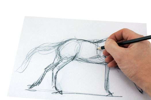 Drawing pencil. artist makes a sketch of a horse