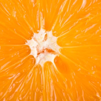 Fresh Orange slice close up