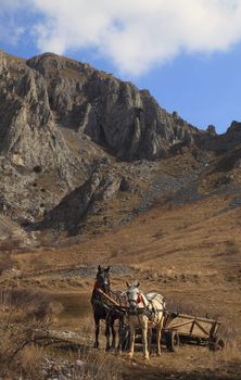 Waggon with two horses in front of rocky mountains.Location:Trascau Mountains,Romania.