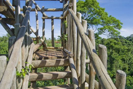 Wooden stairs of birdwatching tower on brazilian atlantic rainforest.