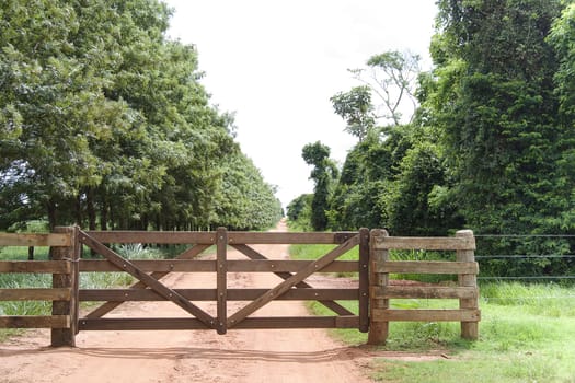 Rural gate of wood on brazilian farm, northwest of Parana State.