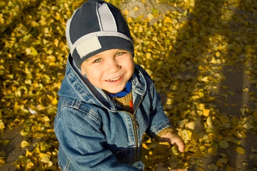 Portrait of the boy among autumn leaves