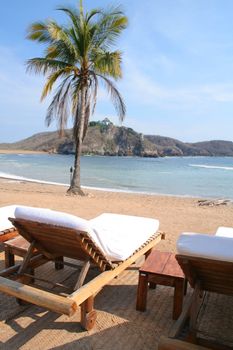 Lounge chairs on beach under palm tree in mexico