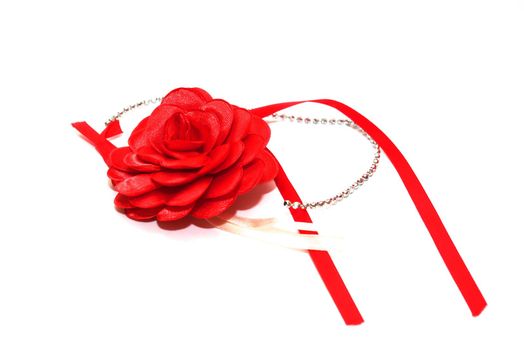 photo of the red flower on white background