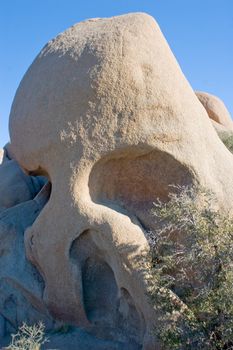 Skull Rock - formation located in Joshua Tree National Park, United States, along the main east-west park road.