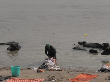 Man on the sacred river Gange