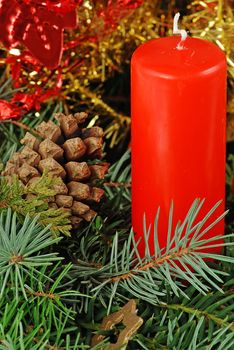 Christmas still life with candle cone and pine branches