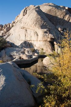 Barker Dam is a water-storage facility located in Joshua Tree National Park in California. The dam was constructed by early cattlemen, and is situated between Queen Valley and the Wonderland of Rocks near the Wall Street Mill.