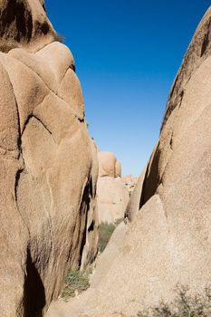 Joshua Tree National Park is located in south-eastern California.