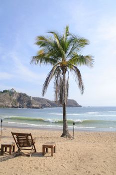 Lounge chairs on beach under palm tree in mexico